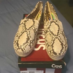 Circus shoes
